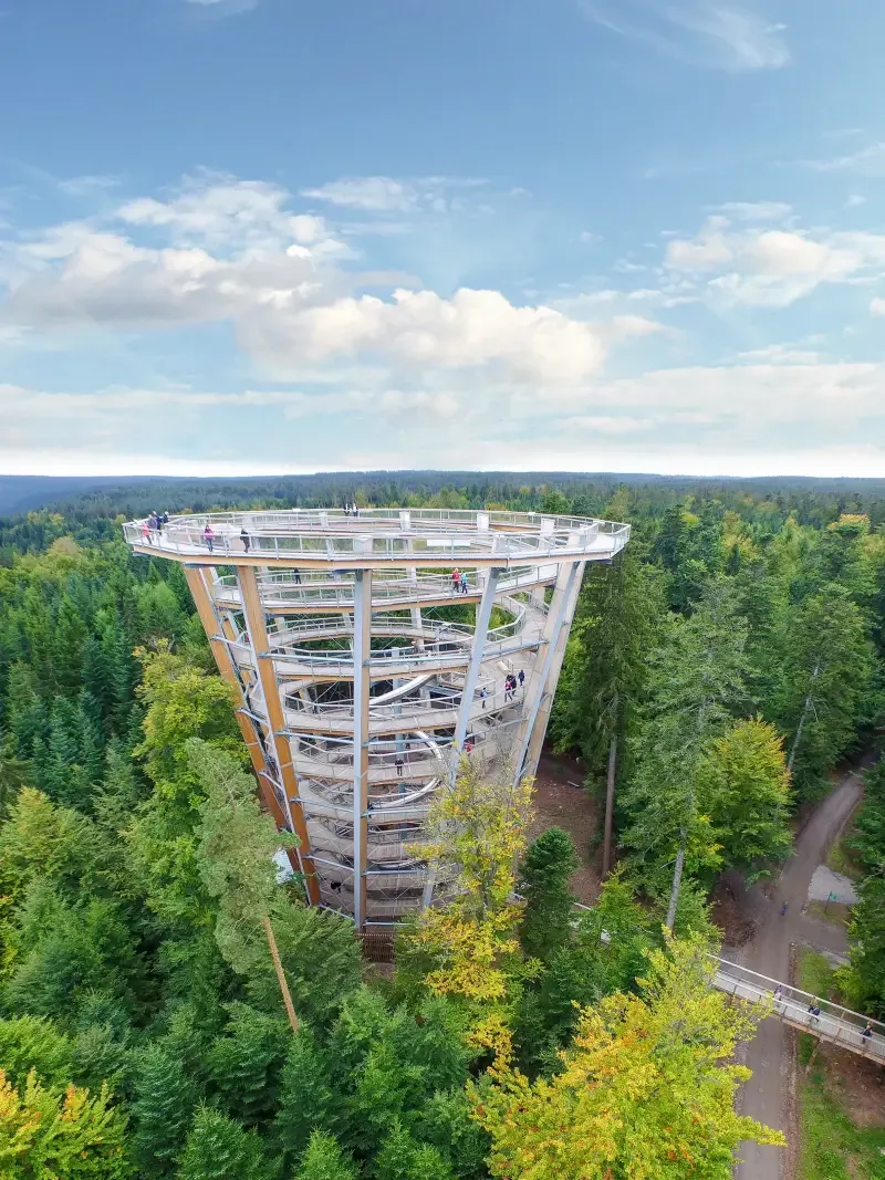Aussichtsturm Baumwipfelpfad Schwarzwald
